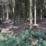 B Foxhole 150x150