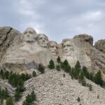 rushmore treebase