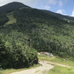 whiteface lift